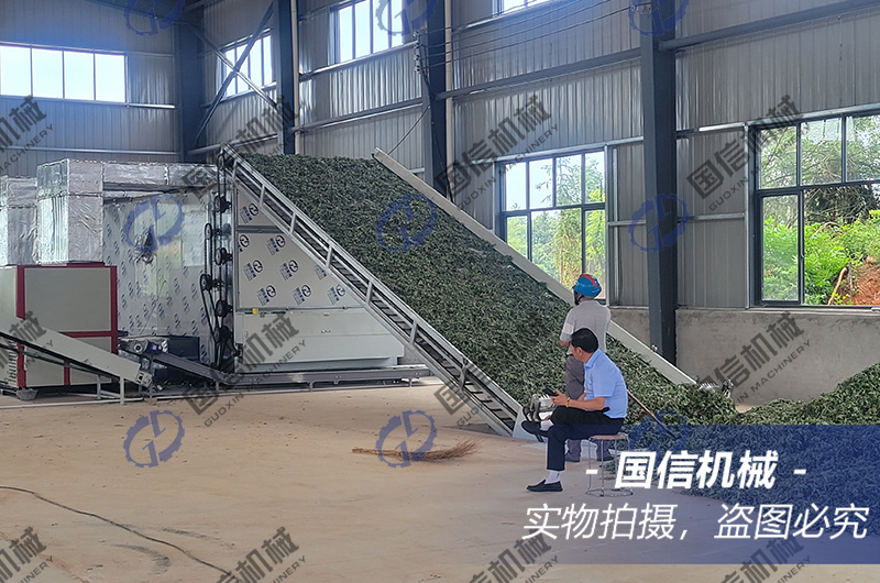 湖(hú)北(běi)艾葉烘幹現(xiàn)場(chǎng)