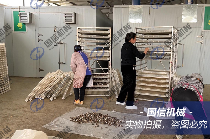 山(shān)西(xī)客戶羊肚菌烘幹現(xiàn)場(chǎng)