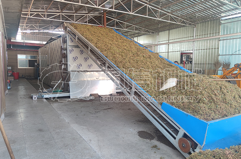 山(shān)西(xī)運城(chéng)花(huā)椒烘幹現(xiàn)場(chǎng)