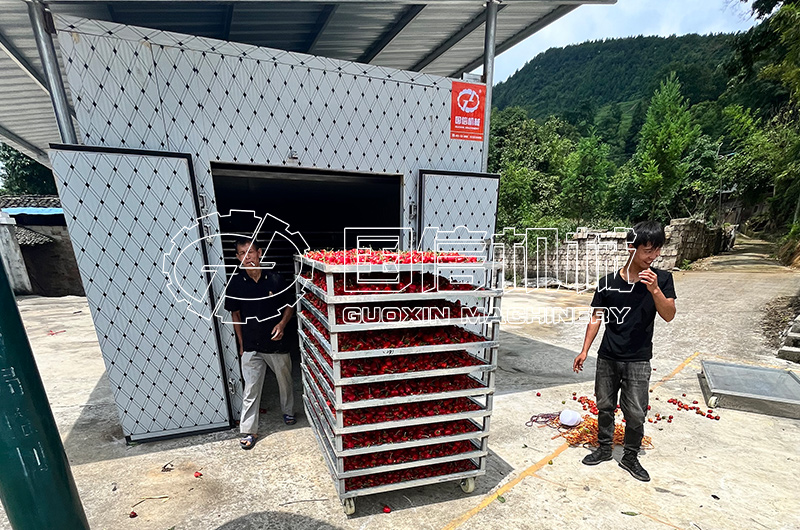 貴州遵義草(cǎo)莓椒烘幹現(xiàn)場(chǎng)