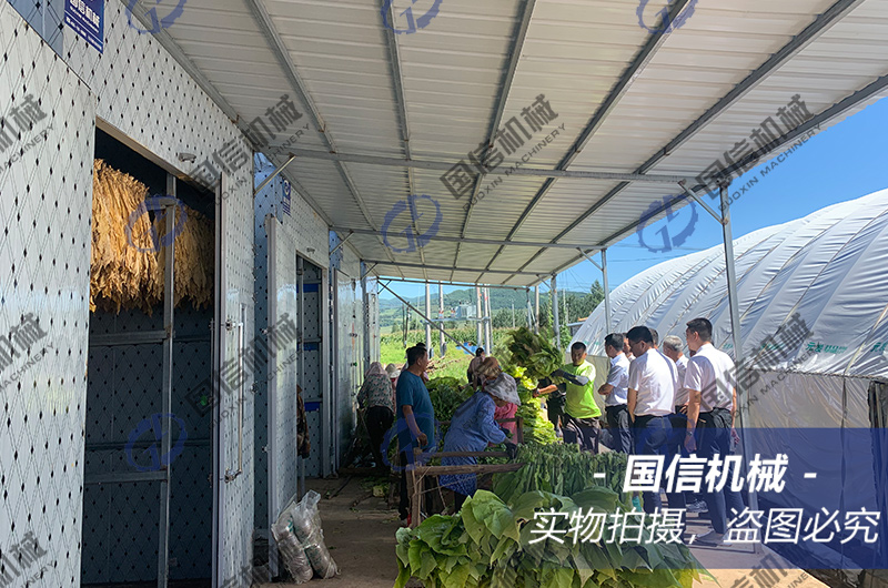 吉林(lín)煙(yān)葉烘幹現(xiàn)場(chǎng)