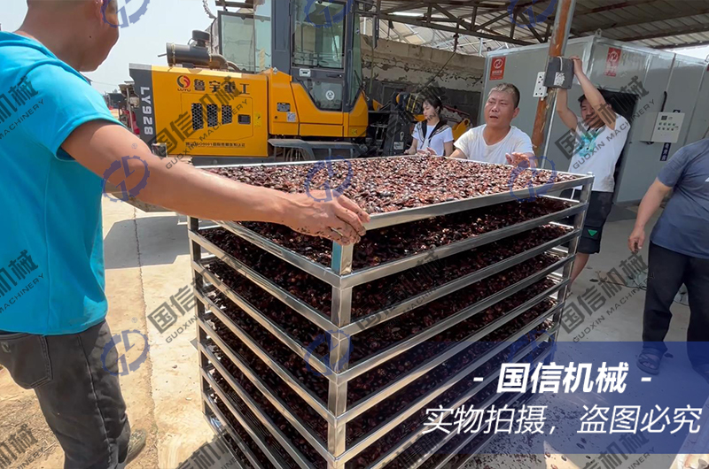 新鄉(xiāng)客戶土(tǔ)鼈蟲烘幹現(xiàn)場(chǎng)