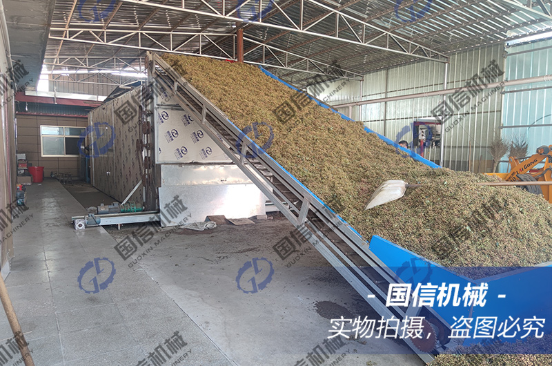 山(shān)西(xī)運城(chéng)花(huā)椒烘幹現(xiàn)場(chǎng)