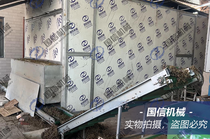 山(shān)西(xī)運城(chéng)花(huā)椒烘幹現(xiàn)場(chǎng)