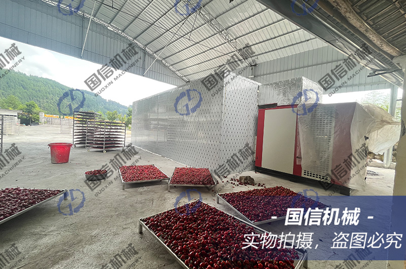 貴州遵義草(cǎo)莓椒烘幹現(xiàn)場(chǎng)