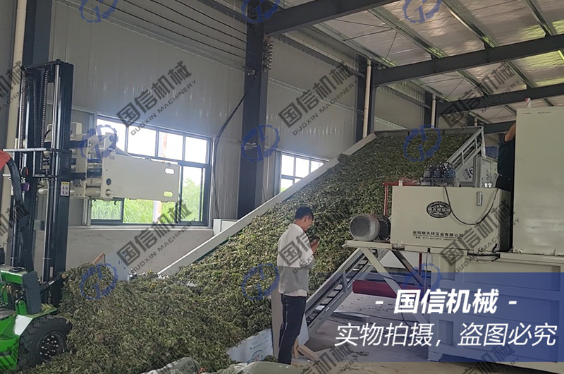 湖(hú)北(běi)艾葉烘幹現(xiàn)場(chǎng)