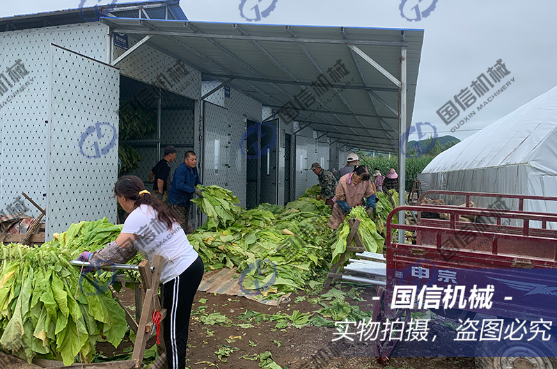 吉林(lín)煙(yān)葉烘幹現(xiàn)場(chǎng)