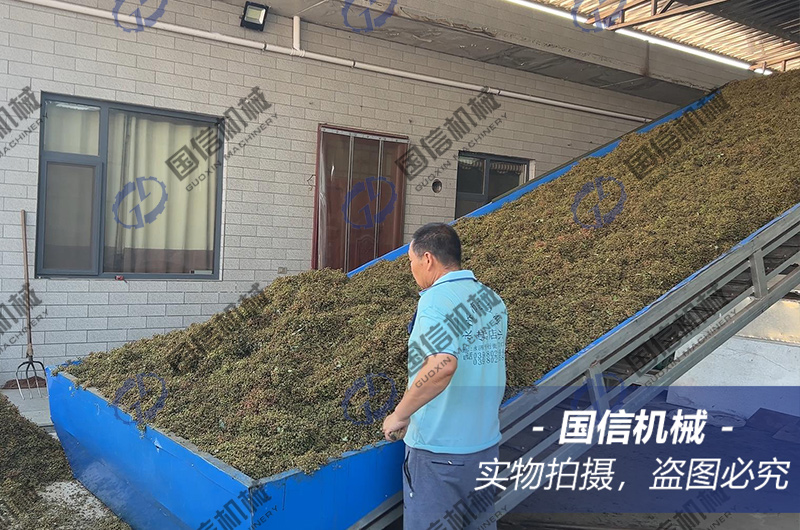 山(shān)西(xī)運城(chéng)花(huā)椒烘幹現(xiàn)場(chǎng)