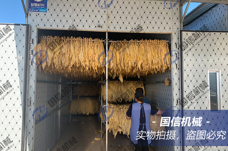 吉林(lín)煙(yān)葉烘幹現(xiàn)場(chǎng)