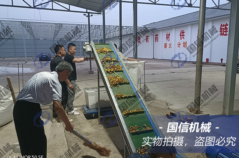 成都(dōu)黃(huáng)柏烘幹試機(jī)現(xiàn)場(chǎng)